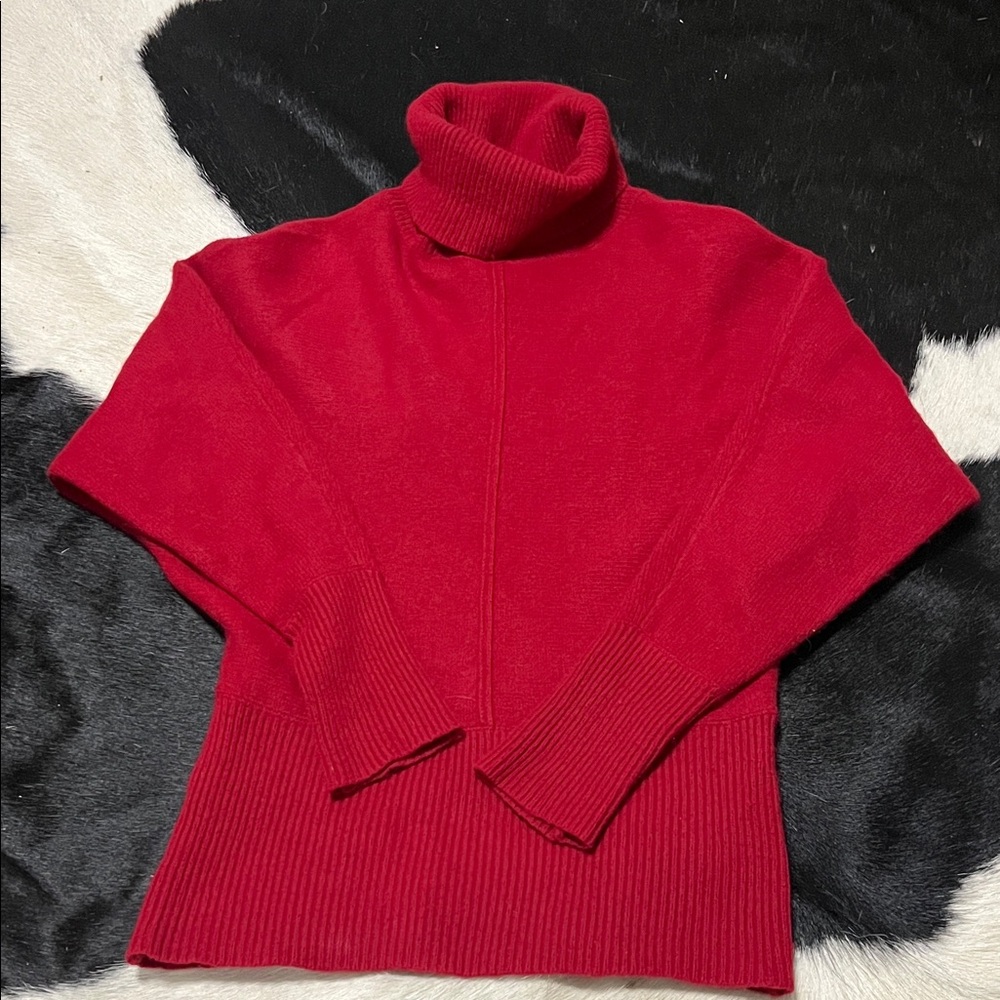 Ann Taylor Turtleneck Sweater